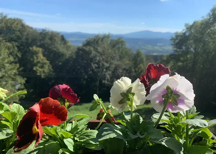 Σαλέ Chata Na Lysinie Lysina